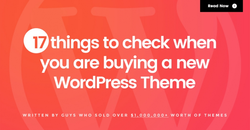 17-things-to-check-when-buying-wp-theme2